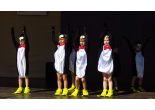choreografia Pinguins